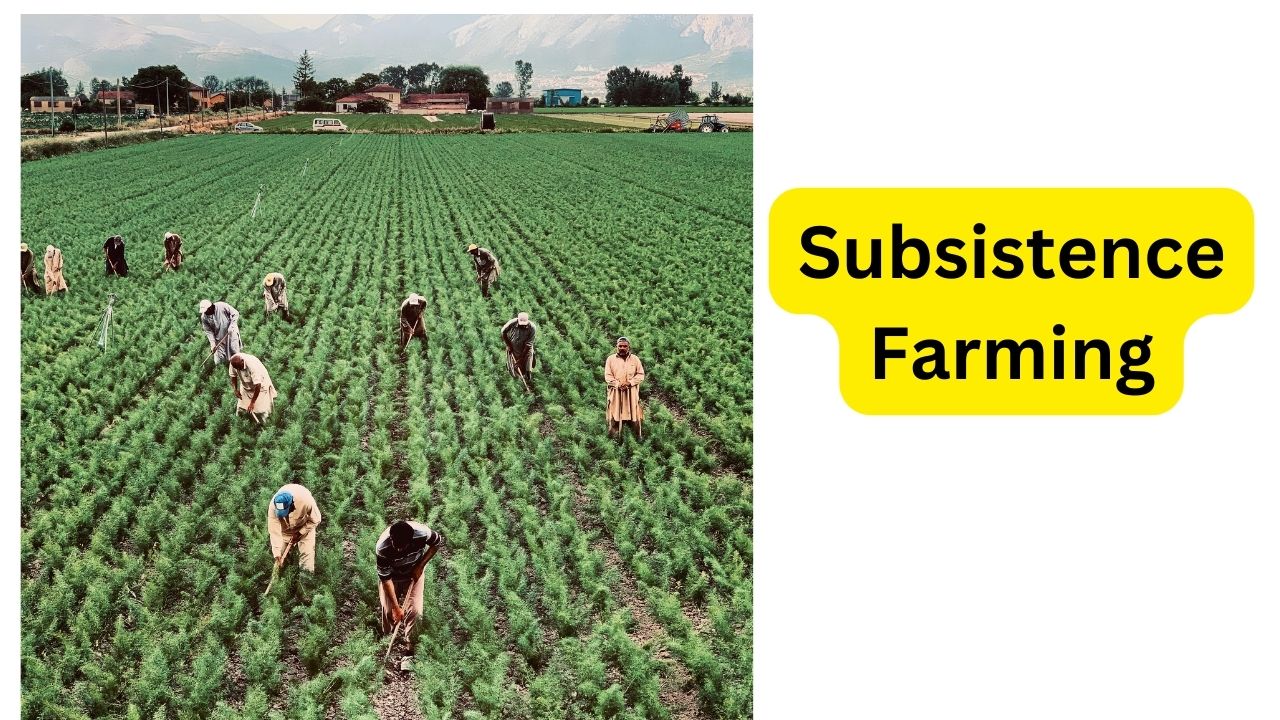 Subsistence Farming